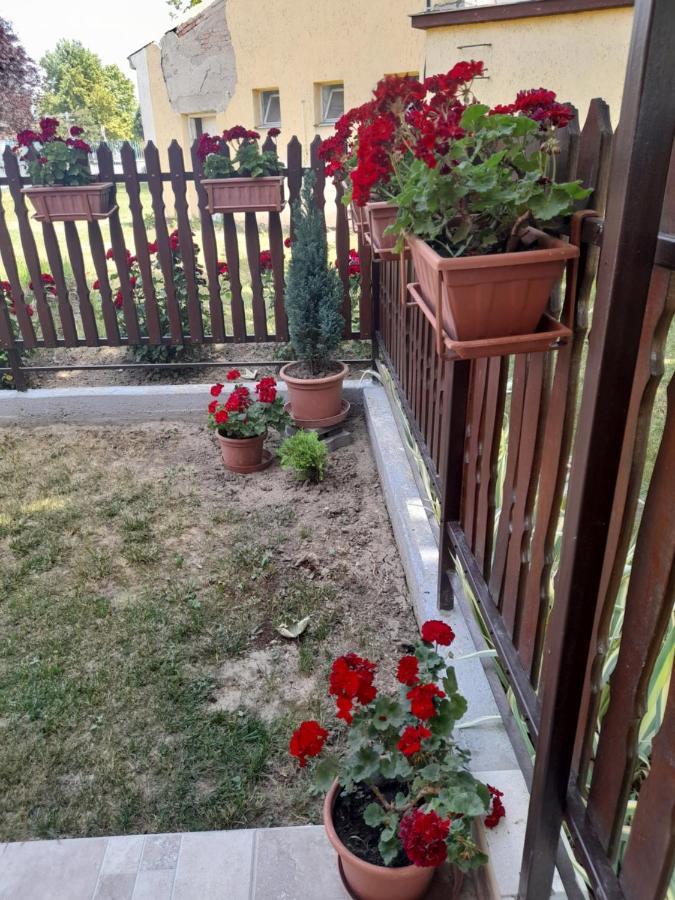 Thermal Apartman Tiszafuered Exterior photo